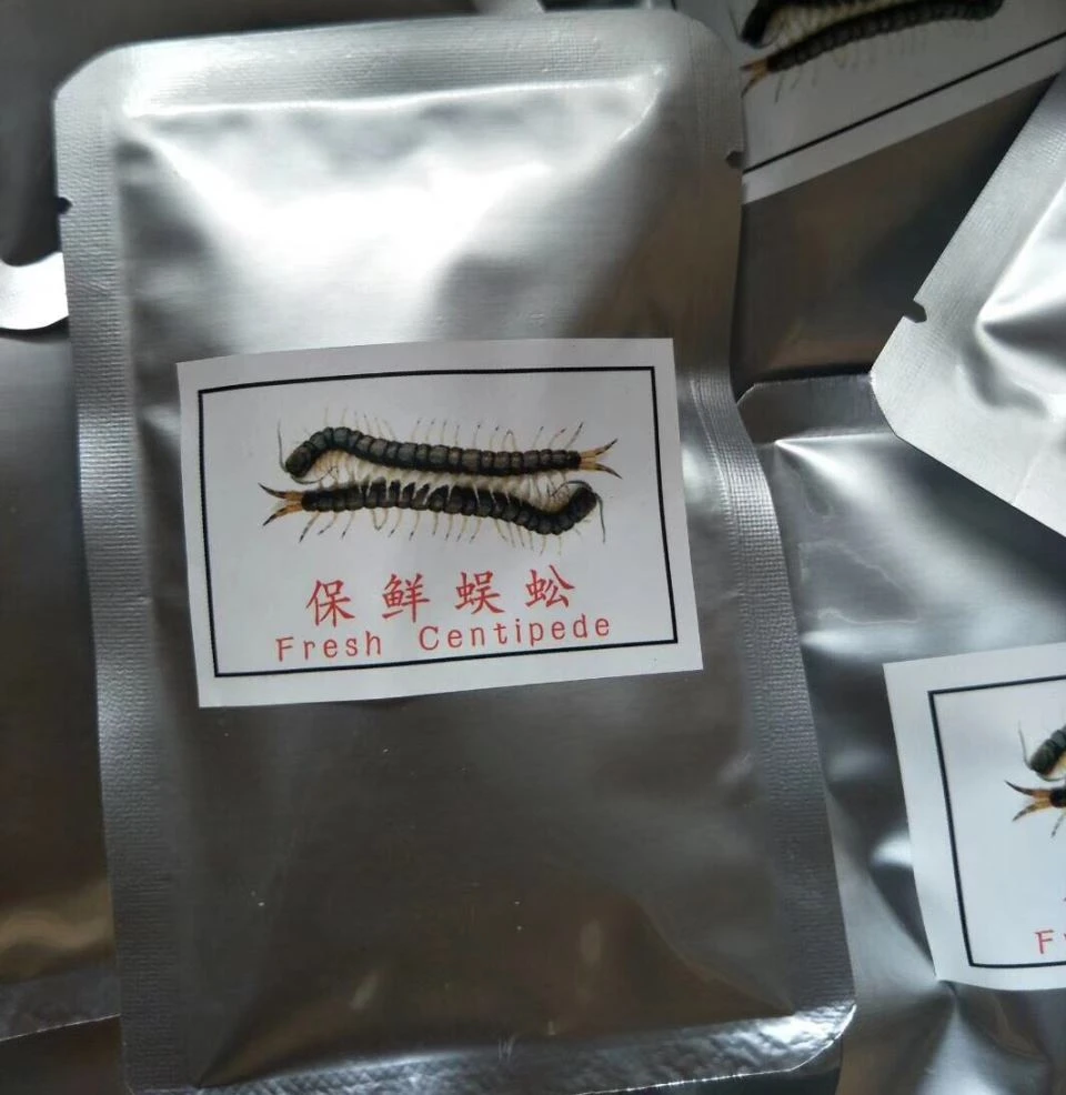 Manje pwason Centipede fre